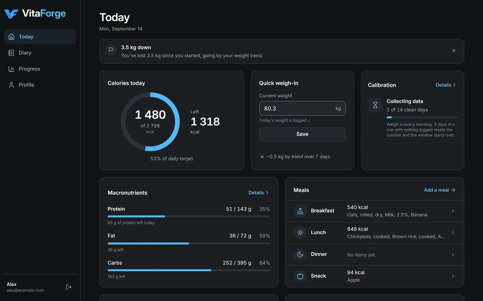 VitaForge screenshot